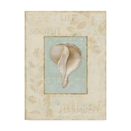 Trademark Fine Art Lisa Audit 'Soothing Words Shells IV' Canvas Art, 24x32 ALI31563-C2432GG